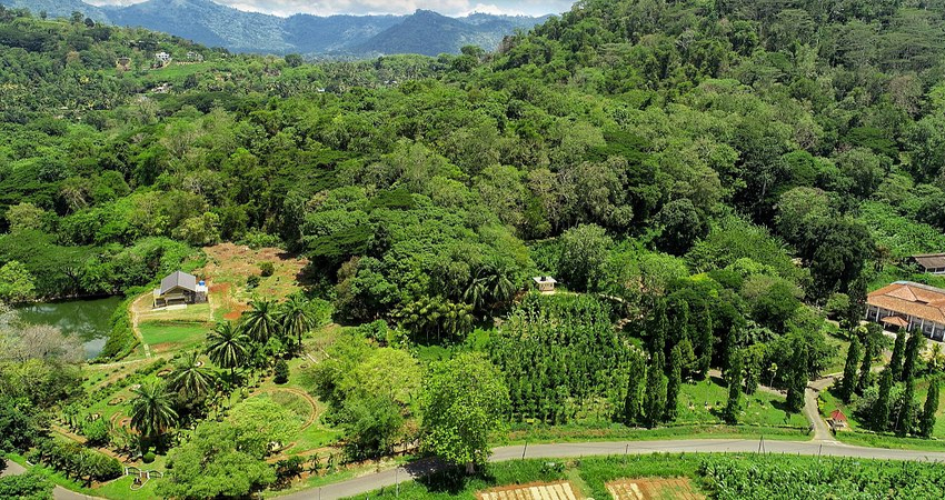 Matale Spice Garden