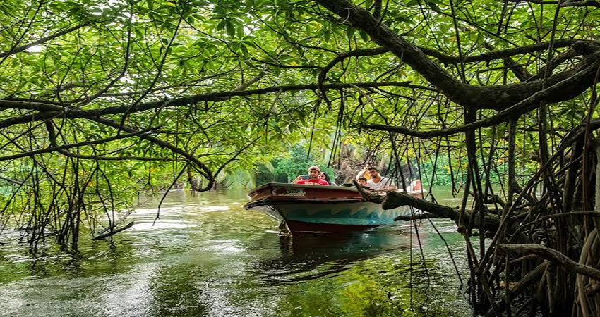 Madu River