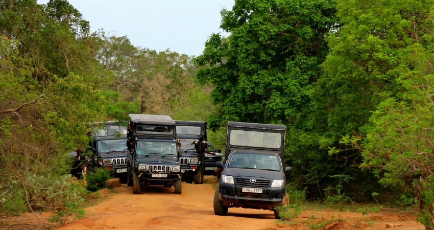 Yala safari 