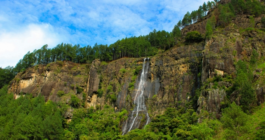 Nature of  nuwera eliya