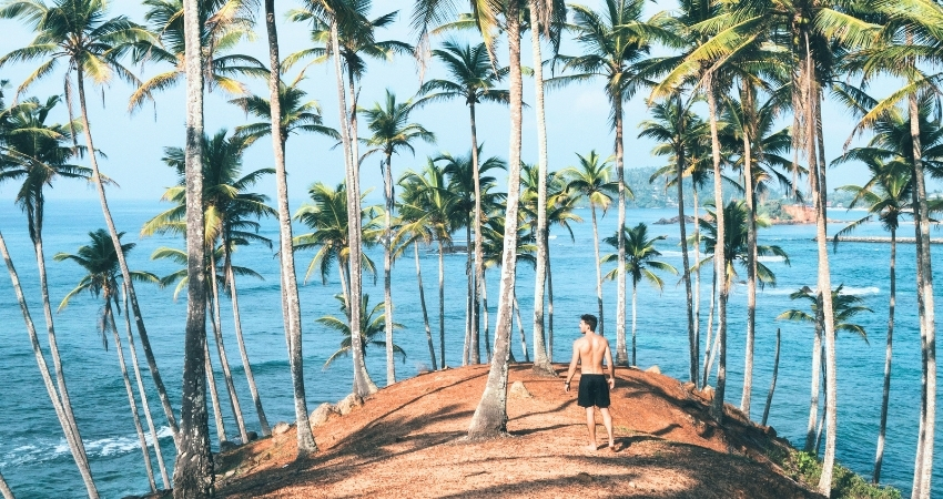 palm beach