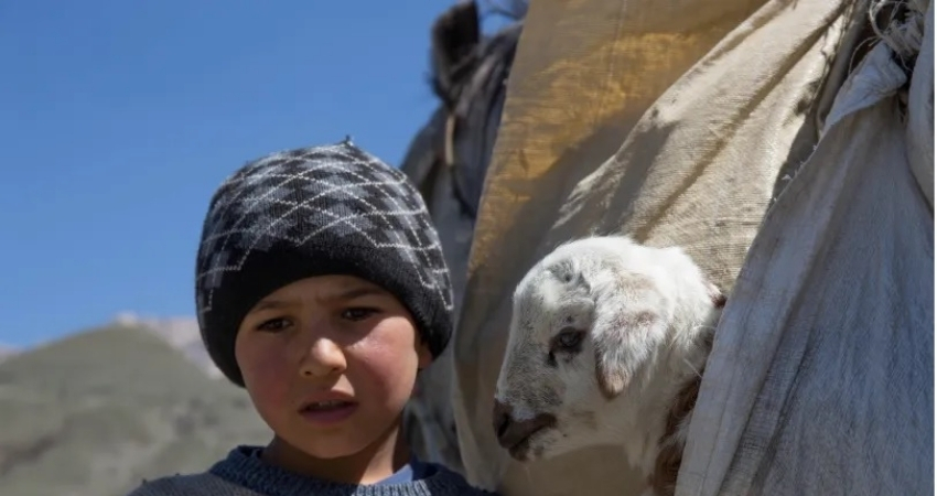 child and goat