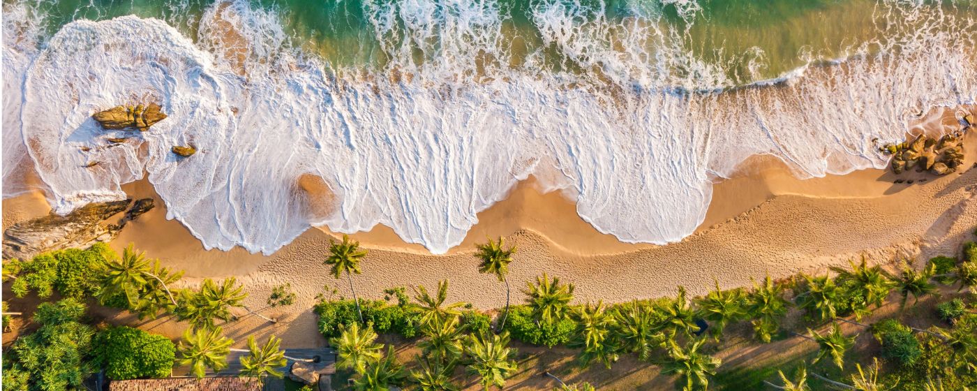 Beautiful Sri Lanka tropical beach, lush landscape and scenic coastal destination.